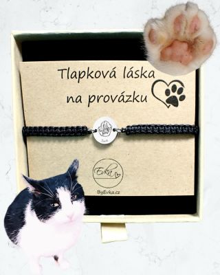 Šimík 😻 #byevka #kocour #nasramekstlapkou #tlapka #kocka #kocicizivot #kocicilaska