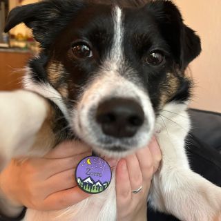 Selfíčkář Zorro ❤️😀 #pes #adoptujnekupuj #psiznamka