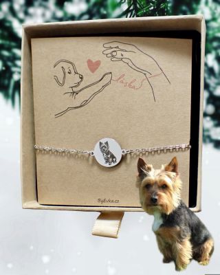 #pes #kocka #psiportret #pesnanaramku #psilaska #psi #tlapka #kocicilaska #kocky #cat #dog #darek